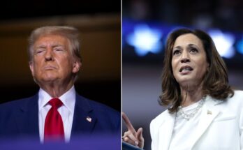 20240903 donald trump kamala harris split meR8Jt