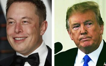 Stock Musk Trump shutt VBNW3s