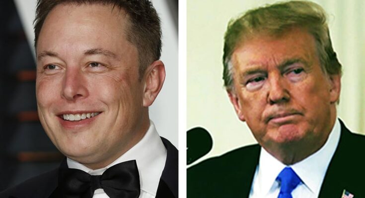 Stock Musk Trump shutt VBNW3s